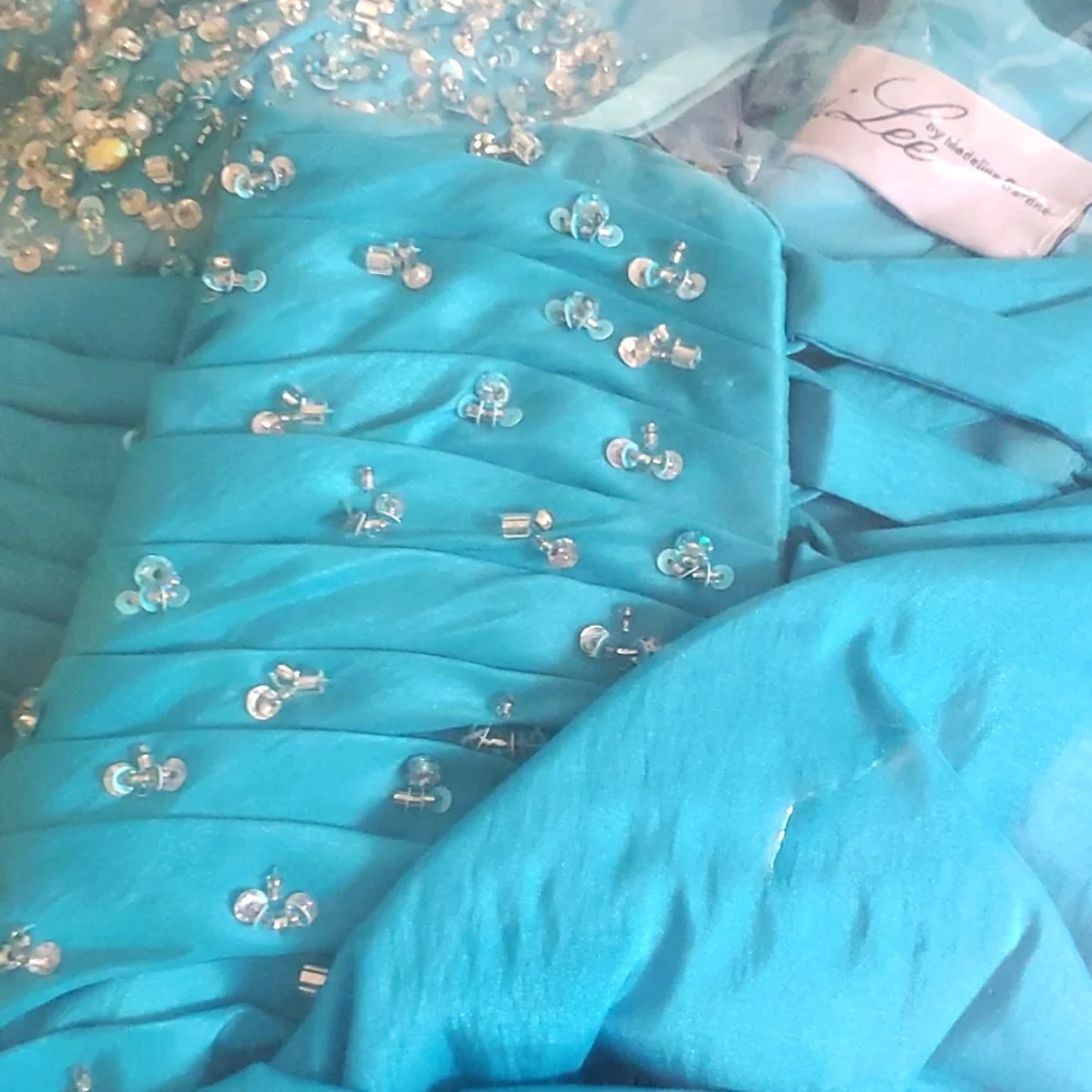 Vizcaya quinceanera dress/prom dress - Picture 12 of 13